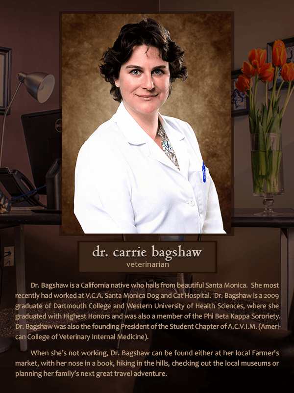 Dr. Carrie Bagshaw